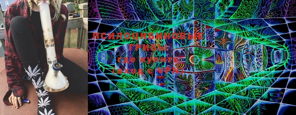 бошки Козловка