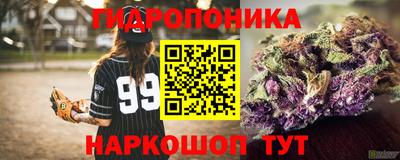 меф Дубна