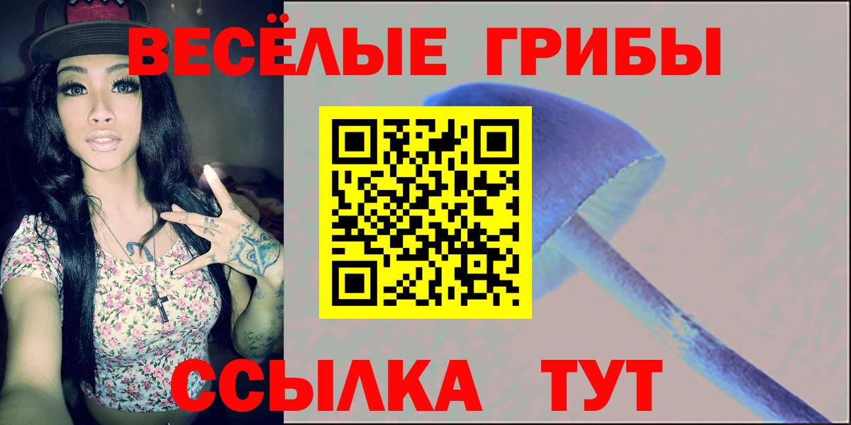 Галлюциногенные грибы Psilocybine cubensis  Вход с VPN  Полысаево 