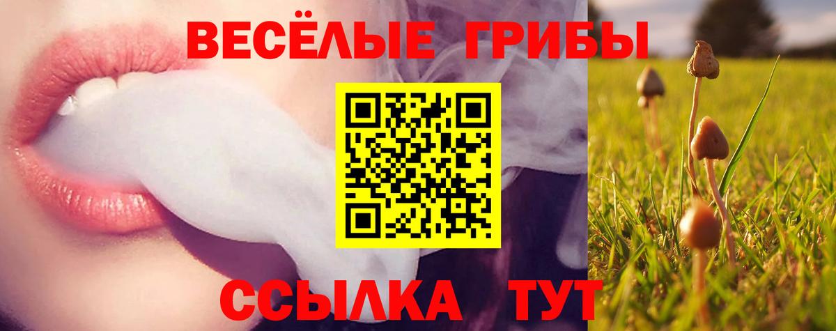 Галлюциногенные грибы Magic Shrooms Полысаево